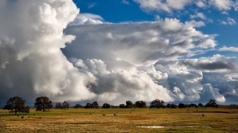 Montana Caddis Retreat