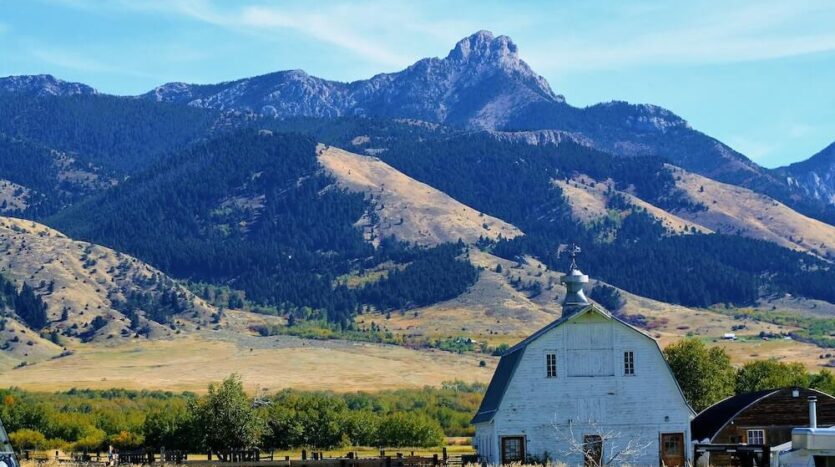 Montana Caddis Retreat